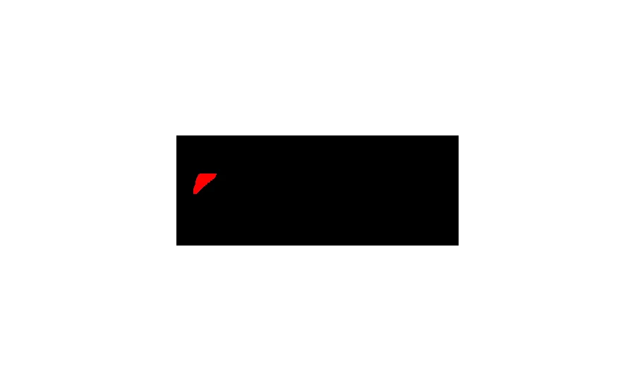 Bridgestone tyre brand
